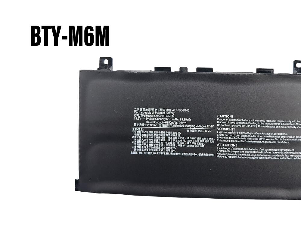 MSI BTY-M6M