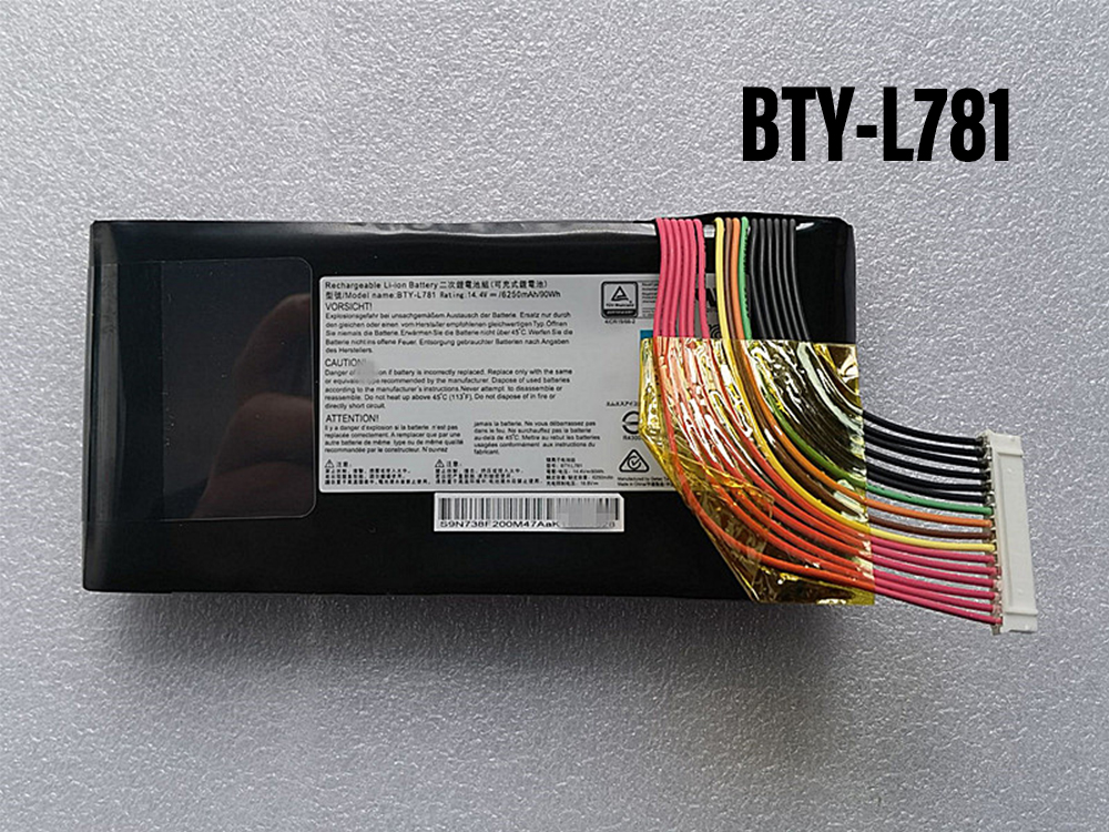 MSI BTY-L781